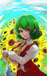 Rule 34 | 1girl, ascot, blue umbrella, blush, breasts, closed mouth, collared shirt, commentary request, cowboy shot, field, flower, flower field, garden of the sun, green hair, hair between eyes, highres, jonasan (bad-t), kazami yuuka, large breasts, long sleeves, looking at viewer, one-hour drawing challenge, parasol, plaid, plaid skirt, plaid vest, red eyes, red skirt, red vest, shirt, short hair, skirt, skirt set, smile, solo, sunflower, sunflower field, touhou, umbrella, vest, white shirt, yellow ascot