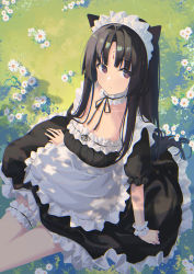 Rule 34 | 1girl, alternate costume, animal ears, apron, arknights, black dress, black ribbon, breasts, bridal garter, cleavage, closed mouth, collarbone, daisy, day, dog ears, dress, enmaided, facial mark, flower, forehead mark, frilled apron, frilled dress, frills, from above, highres, long hair, looking at viewer, looking up, maid, maid headdress, medium breasts, neck garter, neck ribbon, on grass, on ground, outdoors, parted bangs, purple eyes, ribbon, saga (arknights), sin., sitting, very long hair, white apron, white flower