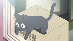 Rule 34 | animated, animated gif, anime screenshot, box, cat, falling, in box, in container, lowres, nichijou, sakamoto (nichijou), screencap, solo, window