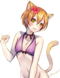 Rule 34 | 10s, 1girl, animal ears, bare shoulders, bikini, bikini top only, blush, bottomless, bow, bowtie, cat ears, cat tail, extra ears, flat chest, flower, hair flower, hair ornament, hibiscus, highres, hoshizora rin, kemonomimi mode, lips, lma, looking at viewer, love live!, love live! school idol festival, love live! school idol project, md5 mismatch, orange hair, paw pose, purple bikini, resized, resolution mismatch, short hair, simple background, solo, source larger, swimsuit, tail, twitter username, white background, yellow eyes
