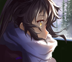 Rule 34 | 1girl, artist name, backlighting, bad id, bad pixiv id, black coat, black hair, coat, day, expressionless, eyelashes, floating hair, from side, highres, long hair, looking outside, original, portrait, scarf, solo, tree, white scarf, winter, yellow eyes, yusan