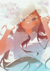 Rule 34 | 1girl, backlighting, blush, brown eyes, brown hair, collared shirt, commentary, flower, hands up, highres, long hair, looking at viewer, original, parted lips, potg (piotegu), purple flower, shirt, short sleeves, signature, solo, upper body, veil, white flower, white shirt