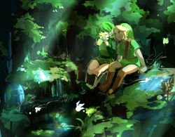 Rule 34 | 1boy, 1girl, blonde hair, blue eyes, closed eyes, forest, green hair, hairband, hat, link, muse (rainforest), nature, nintendo, pointy ears, saria (zelda), short hair, the legend of zelda, the legend of zelda: ocarina of time