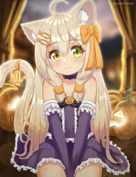 Rule 34 | 1girl, absurdres, ahoge, animal ear fluff, animal ears, artist name, bare shoulders, between legs, blonde hair, blurry, blush, bokeh, bow, cat ears, cat girl, cat tail, choker, closed mouth, collarbone, cowboy shot, curtains, depth of field, detached sleeves, dress, female focus, flat chest, frilled dress, frilled sleeves, frills, glowing, green eyes, hair between eyes, hair bow, halloween, hand between legs, happy, hazakura hinata, heterochromia, highres, jack-o&#039;-lantern, long hair, looking at viewer, orange bow, orange ribbon, original, own hands together, pumpkin, purple choker, purple dress, purple sleeves, ribbon, short dress, sidelocks, signature, sitting, smile, solo, split mouth, straight-on, strapless, strapless dress, tail, tail ornament, tail raised, tail ribbon, v arms, yellow eyes