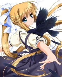 Rule 34 | 1girl, air (visual novel), bird, black dress, black feathers, blonde hair, blue eyes, blurry, commentary request, commission, crow, depth of field, dress, expressionless, eyes visible through hair, feathers, floating hair, hair between eyes, hair ribbon, head tilt, kamio misuzu, light blush, long hair, looking at animal, otou (otou san), outstretched arms, parted lips, ponytail, puffy short sleeves, puffy sleeves, ribbon, shirt, short sleeves, sidelocks, simple background, solo, straight hair, very long hair, white background, white ribbon, wind, wind lift, yellow shirt