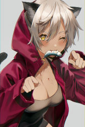 Rule 34 | 1girl, absurdres, animal ears, black dress, blood, blood on breasts, blush, breasts, cat ears, cat girl, cat tail, cleavage, collarbone, commentary, dark skin, dark-skinned female, dress, facial scar, fish, harui (hr x9 ), highres, hood, hood up, hooded jacket, jacket, large breasts, long sleeves, looking at viewer, mole, mole on breast, mole under eye, mouth hold, one eye closed, open clothes, open jacket, original, paw pose, purple jacket, scar, scar across eye, scar on breasts, scar on cheek, scar on face, short hair, silver hair, solo, tail, upper body, yellow eyes