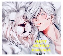 Rule 34 | 1boy, aru iru, b-project, border, character name, happy birthday, highres, kitakado tomohisa, lion, looking at viewer, male focus, parted lips, short hair, solo, teeth, white border, white eyes, white hair