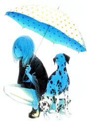 Rule 34 | 1girl, dalmatian, dog, full body, long hair, polka dot, poncho, solo, sousou (sousouworks), squatting, umbrella
