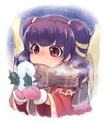 Rule 34 | 1girl, dragon wings, fire emblem, fire emblem: the sacred stones, highres, mittens, multi-tied hair, myrrh (fire emblem), nakabayashi zun, nintendo, pink mittens, purple hair, red eyes, scarf, solo, twintails, wings