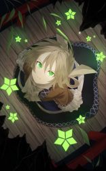 Rule 34 | 1girl, absurdres, bamboo leaf, blonde hair, danmaku, from above, green eyes, highres, looking up, mizuhashi parsee, otoshiro kosame, solo, touhou, wooden floor