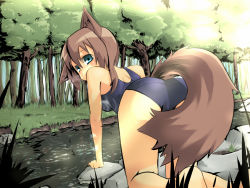Rule 34 | all fours, animal ears, aqua eyes, back, blush, brown hair, day, forest, fox ears, fox tail, fuji-k, green eyes, looking back, nature, non-web source, one-piece swimsuit, outdoors, rock, school swimsuit, short hair, solo, swimsuit, tail, tree, water