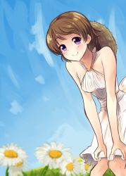 1girl, blush, boa (brianoa), breasts, brown hair, closed mouth, dress, flour, highres, koizumi hanayo, looking at viewer, love live!, love live! school idol project, purple eyes, short hair, smile, solo