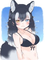 Rule 34 | 1girl, absurdres, animal ear fluff, animal ears, arm at side, bikini, black bikini, black hair, blue eyes, blush, closed mouth, cthun n, front-tie bikini top, front-tie top, grey wolf (kemono friends), groin, heterochromia, highres, kemono friends, long hair, multicolored hair, navel, out-of-frame censoring, signature, simple background, slight frown, solo, stomach, swimsuit, tail, twitter username, white hair, wolf ears, wolf girl, wolf tail, yellow eyes