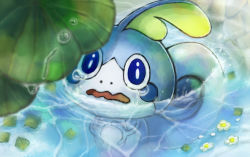 Rule 34 | afloat leaves, blue eyes, commentary request, creatures (company), flower, game freak, gen 8 pokemon, leaf, nintendo, no humans, open mouth, partially submerged, pokemon, pokemon (creature), setta shu, sobble, solo, tearing up, tongue, water, water drop, wavy mouth