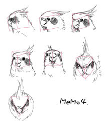 Rule 34 | animal, beak, bird, feathers, fishball, head, how to, monochrome, no humans, simple background, sketch