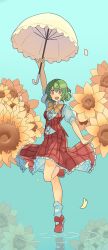 Rule 34 | 1girl, :d, arm up, bow, bowtie, flower, full body, green hair, haojihaojigo, holding, holding umbrella, kazami yuuka, mary janes, open mouth, outstretched arm, parasol, pinky out, plaid, plaid skirt, plaid vest, puffy short sleeves, puffy sleeves, red eyes, red footwear, reflection, shoes, short hair, short sleeves, skirt, skirt set, smile, socks, solo, sunflower, touhou, umbrella, vest, water, white socks, yellow bow