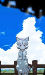 Rule 34 | 1girl, absurdres, alternate costume, animal ear fluff, animal ears, arms at sides, bare arms, blue eyes, blue sky, closed mouth, cloud, collared shirt, commentary request, dappled sunlight, day, dog (mixed breed) (kemono friends), dog ears, dog tail, feet out of frame, fence, grey hair, heterochromia, highres, holding, kemono friends, looking at viewer, medium skirt, multicolored hair, onaji (sokudo seigen), outdoors, shirt, short hair, skirt, sky, sleeveless, sleeveless shirt, smile, solo, standing, sunlight, tail, two-tone hair, white hair, wing collar, wooden fence, yellow eyes