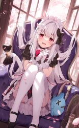 Rule 34 | 1girl, :d, animal ears, bell, black dress, blush, bow, bowtie, cat ears, cat girl, cat tail, chair, collared dress, dress, garter straps, gloves, hair ribbon, highres, indoors, long hair, looking at viewer, maid, maid headdress, miyase mahiro, open mouth, original, red bow, red bowtie, red eyes, ribbon, simple background, sitting, smile, solo, stuffed animal, stuffed fish, stuffed toy, tail, tail bell, tail ornament, tail ribbon, thighhighs, very long hair, white gloves, white hair, white thighhighs, window
