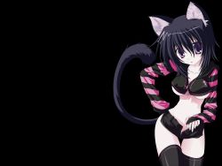 Rule 34 | 1girl, animal ears, black hair, black x pink, breasts, cat ears, cat tail, dark, highres, large breasts, midriff, nanao naru, open fly, purple eyes, short hair, shorts, solo, tail, thighhighs, third-party edit, underboob, unzipped, vector trace, wallpaper