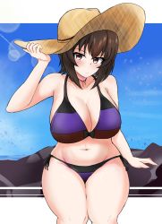 Rule 34 | 1girl, adjusting clothes, adjusting headwear, amogan, bikini, blue sky, blush, bow, bow bikini, breasts, brown eyes, brown hair, brown hat, clear sky, cleavage, closed mouth, commentary, commission, day, frown, girls und panzer, girls und panzer senshadou daisakusen!, halterneck, hat, highres, horizon, large breasts, lens flare, looking at viewer, navel, nishizumi maho, official alternate costume, on rock, outdoors, pixiv commission, purple bikini, rock, short hair, side-tie bikini bottom, sitting, sky, solo, straw hat, sun hat, swimsuit