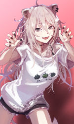 Rule 34 | 1girl, :d, ahoge, animal ears, black shorts, commentary request, fangs, grey eyes, grey hair, hair between eyes, highres, hololive, lion ears, lion girl, long hair, looking at viewer, open mouth, red background, shirt, shishiro botan, shishiro botan (casual), short sleeves, shorts, simple background, smile, solo, teeth, upper teeth only, virtual youtuber, white shirt, yami ara