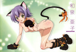 Rule 34 | 1girl, all fours, animal hands, ass, bell, blush, bow, breasts, collar, female focus, full body, gloves, highres, izumi ako, mahou sensei negima!, nipples, nude, nude filter, ookaji hiroyuki, paw gloves, paw pose, paw shoes, purple hair, ribbon, shoes, short hair, solo, third-party edit, yellow eyes