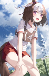 Rule 34 | 1girl, absurdres, animal ears, blue sky, blush, brown hair, cloud, commentary request, day, hands on own thighs, highres, horse ears, horse girl, horse tail, kanzi, looking to the side, multicolored hair, open mouth, outdoors, purple eyes, red shorts, short hair, shorts, sky, solo, special week (umamusume), standing, streaked hair, sweat, tail, thighs, umamusume, white hair