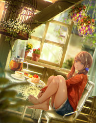 Rule 34 | 1girl, bare legs, barefoot, birdcage, blurry, brown hair, cactus, cage, cake, cake slice, casual, chair, chromatic aberration, crossed ankles, cup, curtains, dappled sunlight, denim, denim shorts, depth of field, feet, feet on chair, flower pot, food, fork, from side, fruit, grey eyes, highres, indoors, knees up, lips, long hair, long sleeves, looking at viewer, original, own hands together, pitcher (container), plant, plate, potted plant, purple eyes, scrunchie, shoichi (ekakijin), shorts, sitting, sleeves past wrists, smile, solo, strawberry, strawberry shortcake, sunlight, sweater, table, tablecloth, tea, teacup, toes, twintails, vines, window, wooden floor