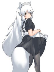 Rule 34 | alternate costume, animal ears, apron, arctic fox (kemono friends), black dress, black pantyhose, commentary request, cowboy shot, dress, enmaided, extra ears, fox ears, fox girl, fox tail, frilled apron, frills, highres, kemono friends, kemono friends 3, long hair, maid, maid headdress, pantyhose, puffy short sleeves, puffy sleeves, short sleeves, sidelocks, tail, uf34a, white apron, white hair, yellow eyes