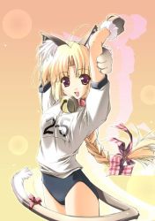 Rule 34 | 1girl, :d, animal ears, arms up, bell, neck bell, blonde hair, braid, buruma, cat ears, cat tail, collar, fang, gym uniform, hair ribbon, jingle bell, looking at viewer, open mouth, purple eyes, ribbon, shintarou, smile, solo, tail, tail ornament, tail ribbon