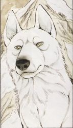Rule 34 | dog, fang, lobo (fang), white wolf (fang), wolf