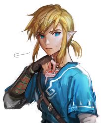 Rule 34 | 1boy, bad id, bad twitter id, blonde hair, blue eyes, charcoalo, gloves, link, long hair, male focus, nintendo, pointy ears, ponytail, solo, the legend of zelda, the legend of zelda: breath of the wild