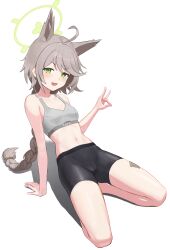 Rule 34 | 1girl, :d, absurdres, ahoge, animal ear fluff, animal ears, bandaid, bandaid on leg, bare arms, bare shoulders, barefoot, bike shorts, black shorts, blue archive, blush, braid, breasts, cleft of venus, collarbone, fox shadow puppet, full body, grey hair, highres, kneeling, long hair, looking at viewer, navel, open mouth, otogi (blue archive), shorts, simple background, single braid, sitting, small breasts, smile, solo, sports bra, stomach, very long hair, white background, whoning1