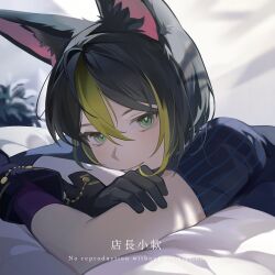 Rule 34 | 1boy, animal ear fluff, animal ears, bananakeki, black gloves, black hair, blunt ends, fox boy, fox ears, genshin impact, gloves, gradient hair, green eyes, green hair, hair between eyes, looking at viewer, lying, male focus, multicolored hair, hugging object, on bed, on stomach, pillow, pillow hug, plant, short hair, short sleeves, smile, solo, streaked hair, tighnari (genshin impact), two-tone hair