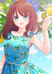 Rule 34 | 1girl, :d, blue dress, blue eyes, blue sky, blush, breasts, brown hair, clip studio paint (medium), cloud, cloudy sky, commentary request, day, dress, food, frilled dress, frills, fruit, hand up, highres, lemon, lemon print, long hair, looking at viewer, misaki (misaki86), open mouth, original, outdoors, print dress, sky, sleeveless, sleeveless dress, small breasts, smile, solo, teeth, upper teeth only