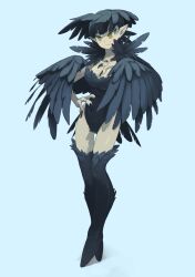 Rule 34 | 1girl, absurdres, animal hands, bird girl, bird tail, bird wings, black hair, blue background, blue hair, breasts, bright pupils, claws, cleavage, closed mouth, colored skin, daon (kenta111881), fang, feather hair, feathered wings, full body, grey skin, hand on own chest, head wings, highres, leotard, looking at viewer, medium breasts, monster girl, original, pointy ears, short hair, simple background, skin fang, smile, solo, standing, strapless, tail, talons, tiptoes, wings, yellow eyes