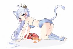 Rule 34 | 1girl, all fours, animal ears, anyuu, ass, ayaka (genshin impact), bare shoulders, blue eyes, blush, cat ears, cat tail, commentary, doritos, english commentary, food, genshin impact, hair ornament, hair stick, hairpin, long hair, looking at viewer, socks, solo, tail, underwear, underwear only