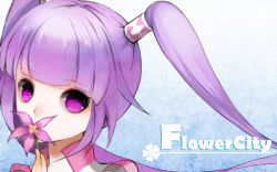 Rule 34 | 1girl, bad id, bad pixiv id, blue background, female focus, flower, official alternate costume, purple eyes, purple hair, satsuyu ito, solo, sophie (tales), tales of (series), tales of graces, twintails