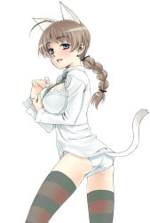 Rule 34 | 00s, 1girl, ahoge, animal ears, bra, braid, breasts, brown hair, cat ears, cat tail, highres, large breasts, lingerie, long hair, lynette bishop, open clothes, open shirt, panties, satou atsuki, shirt, single braid, solo, strike witches, striped clothes, striped thighhighs, tail, thighhighs, underwear, world witches series