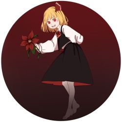 Rule 34 | 1girl, arm behind back, ascot, barefoot, black skirt, blonde hair, circle, flower, framed, full body, gradient background, hair ribbon, holding, holding flower, long sleeves, looking at viewer, mefomefo, open mouth, poinsettia, red eyes, ribbon, rumia, skirt, skirt set, solo, teeth, touhou, vest