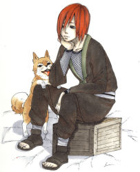Rule 34 | 1boy, dog, lowres, nagato (naruto), naruto (series), naruto shippuuden, ninja, phoenix-xx, red hair