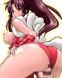 Rule 34 | 1girl, anus, bad id, bad pixiv id, blush, breasts, brown eyes, brown hair, censored, clothing aside, fatal fury, fjt (fjym2), fjym2, girl on top, guided penetration, lowres, nipples, panties, panties aside, penis, rope, sex, shiranui mai, sideboob, snk, solo focus, tears, the king of fighters, underwear, vaginal