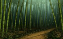 Rule 34 | bamboo, bamboo forest, bamboo shoot, dappled sunlight, forest, game cg, justinas vitkus, landscape, leaf, nature, no humans, official art, outdoors, path, road, rock, sunlight, third-party source, touhou, touhou cannonball, tree