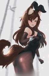 Rule 34 | 1girl, animal ear fluff, animal ears, ass, bare shoulders, black leotard, black pantyhose, blush, brown hair, ehrrr, elbow gloves, eyes visible through hair, fake animal ears, fang, fishnet pantyhose, fishnets, gloves, hair over one eye, highres, imaizumi kagerou, leotard, long hair, looking at viewer, open mouth, pantyhose, playboy bunny, rabbit ears, rabbit tail, red eyes, solo, standing, strapless, strapless leotard, tail, touhou, wolf ears, wolf tail, wrist cuffs