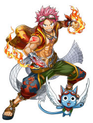 Rule 34 | 1boy, fairy tail, happy (fairy tail), male focus, natsu dragneel, simple background, solo, tagme