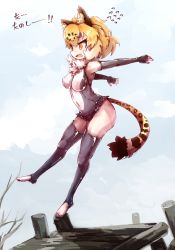 Rule 34 | 10s, absurdres, alternate costume, animal ears, arms behind back, bare shoulders, blonde hair, cosplay, costume switch, elbow gloves, feet, fingerless gloves, flying sweatdrops, full body, fur collar, gloves, highres, jaguar (kemono friends), jaguar ears, jaguar print, jaguar tail, kemono friends, kolshica, multicolored hair, one-piece swimsuit, open mouth, short hair, solo, standing, standing on one leg, swimsuit, tail, thighhighs, toeless legwear, translated