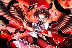 Rule 34 | 1girl, bad id, bad pixiv id, bird, black hair, black wings, crow, dress shirt, feathers, female focus, frills, fuepo, hat, highres, large wings, looking at viewer, pointy ears, red eyes, red theme, revision, ribbon, shameimaru aya, shirt, short hair, skirt, sky, smile, solo, tokin hat, touhou, wings