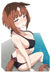 Rule 34 | 1girl, absurdres, alternate costume, animal ears, ass, blush, breasts, brown hair, cleavage, clothing cutout, commentary request, ear ornament, grin, highres, horse ears, horse girl, horse tail, large breasts, multicolored hair, poolside, red eyes, shijimi (sijimi1917), short hair, simple background, smile, solo, streaked hair, tail, tail through clothes, tongue, tongue out, transcend (umamusume), umamusume, white background, white hair