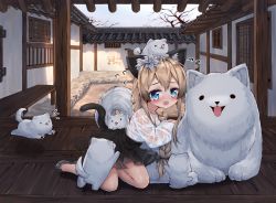 Rule 34 | 1girl, animal, animal ear fluff, animal ears, animal on head, architecture, artist name, black footwear, black skirt, blue eyes, blue sky, blush, cat ears, cat girl, cat tail, collarbone, commentary request, day, dog, dog on head, east asian architecture, flower, flying sweatdrops, hair between eyes, hair flower, hair ornament, hanbok, highres, korean clothes, korean text, light brown hair, long sleeves, looking at viewer, on head, open mouth, original, outdoors, see-through, shirt, shoes, skirt, sky, solo, tail, tandohark, tongue, tongue out, translation request, wavy mouth, white flower, white shirt