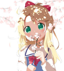 Rule 34 | 1girl, blonde hair, blue dress, blurry, blurry foreground, blush, bow, branch, child, commentary request, covered mouth, depth of field, dress, flower, green eyes, hair bow, hand up, highres, himesaka noa, holding, holding flower, long hair, long sleeves, looking at viewer, makuran, parted bangs, pink flower, ponytail, red bow, school uniform, shirt, short eyebrows, sleeveless, sleeveless dress, solo, thick eyebrows, upper body, watashi ni tenshi ga maiorita!, white flower, white shirt